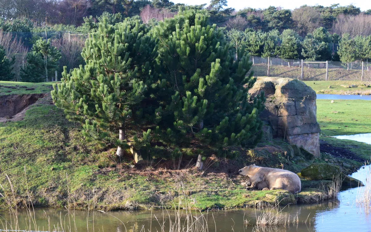 Yorkshire Wildlife Park