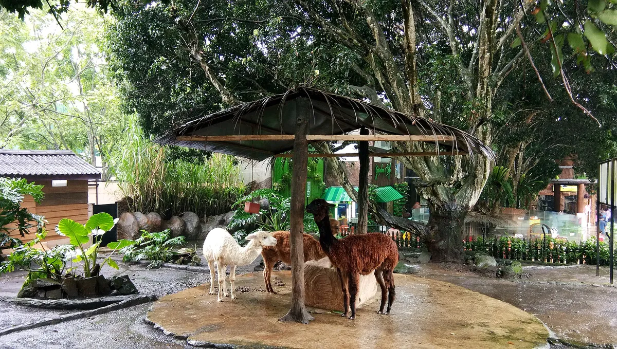 Batu Secret Zoo