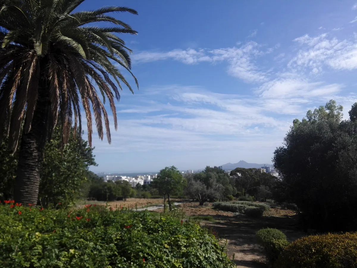 Parc du Belvédère