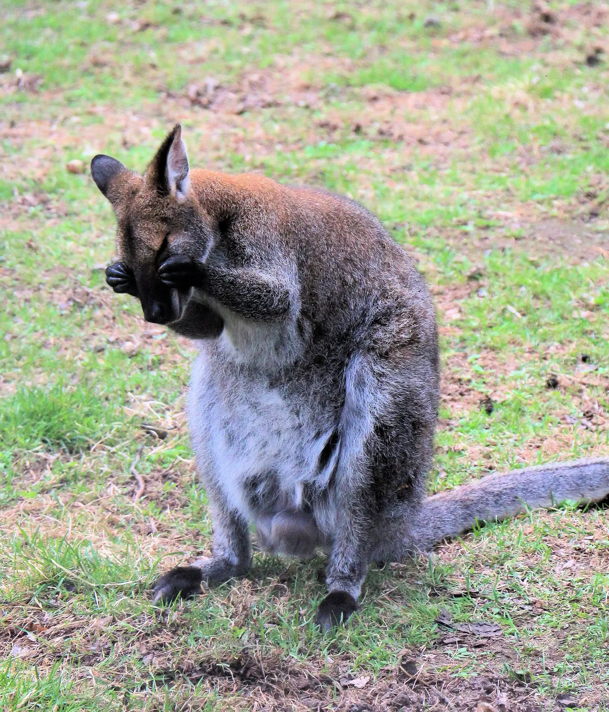 Riverviewpark Andzoo