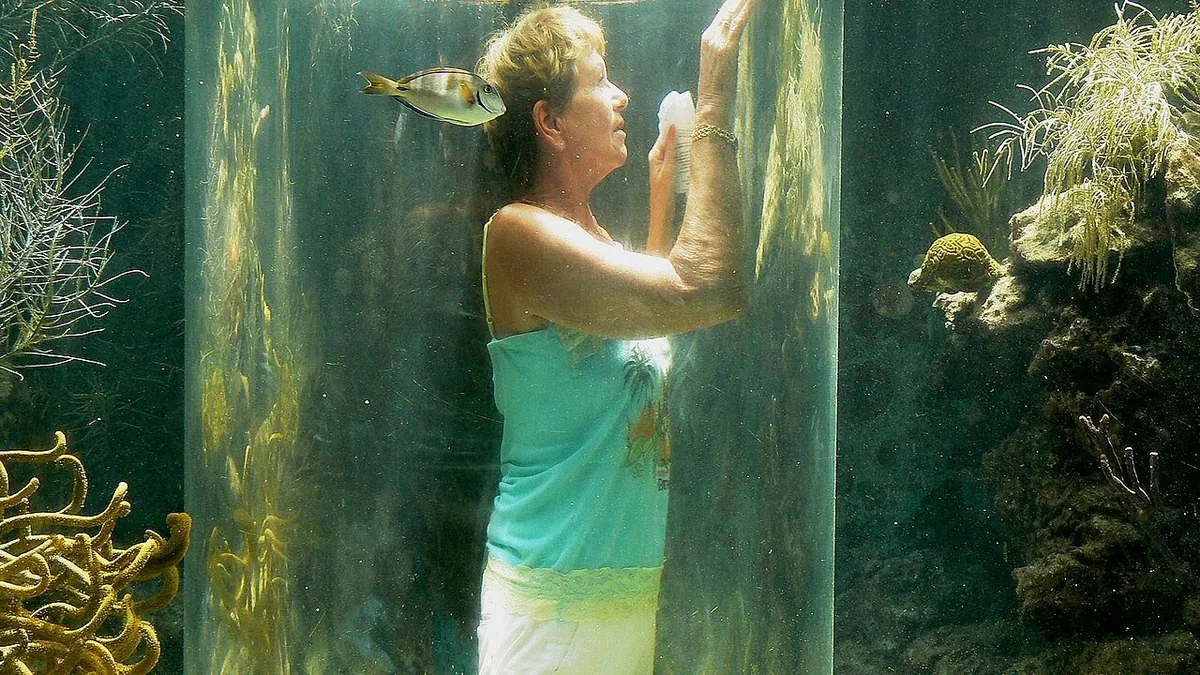 Curaçao Sea Aquarium