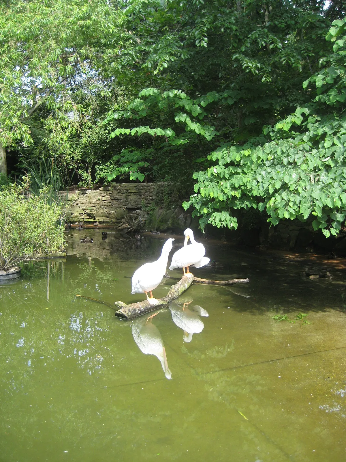 John Ball Zoo