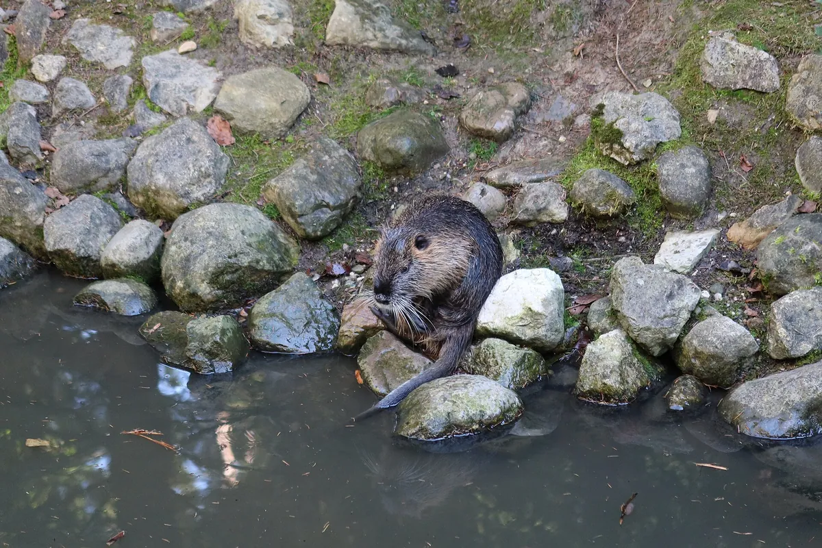 Bergtierpark Blindham