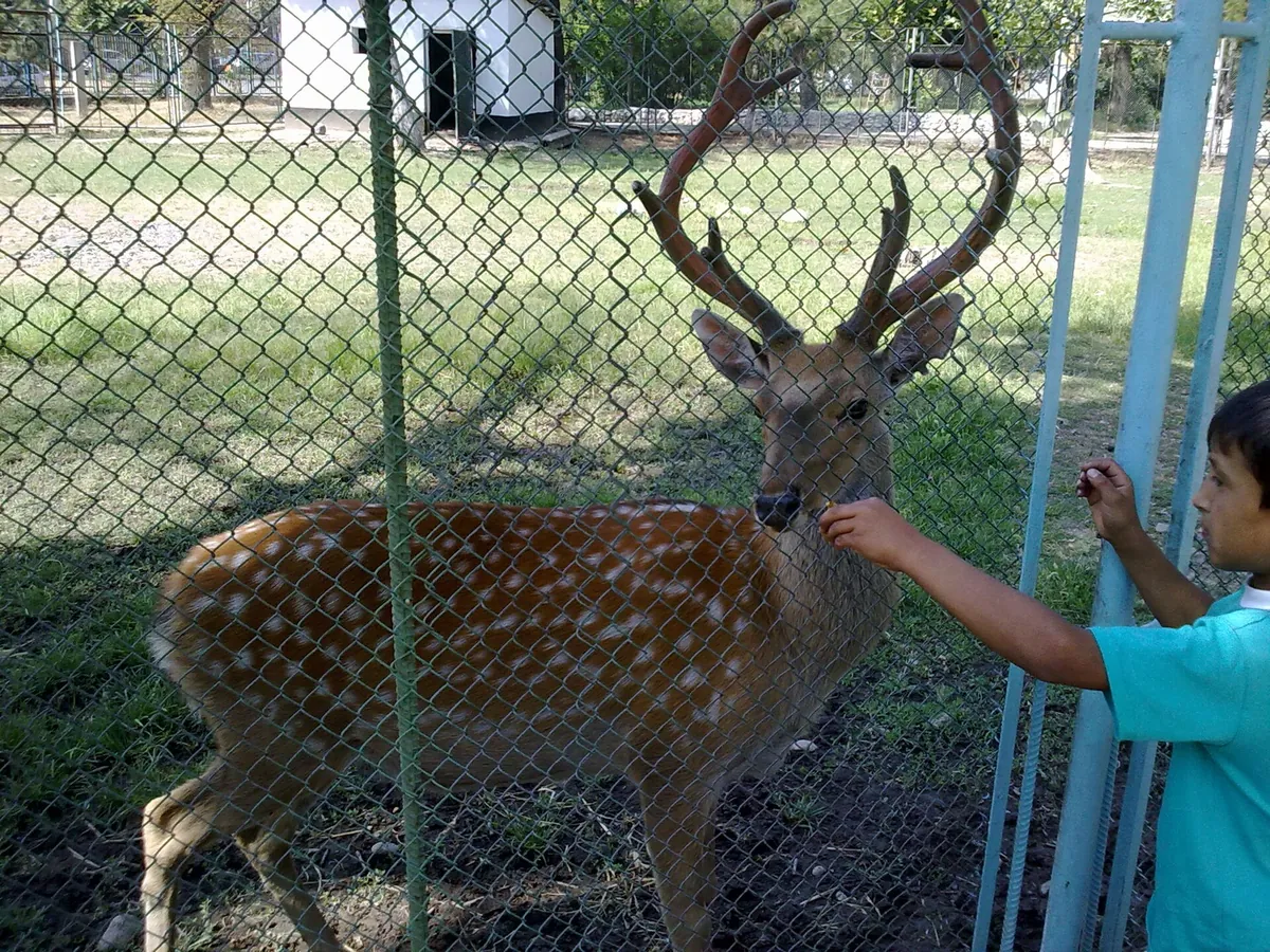 Dushanbe Zoo