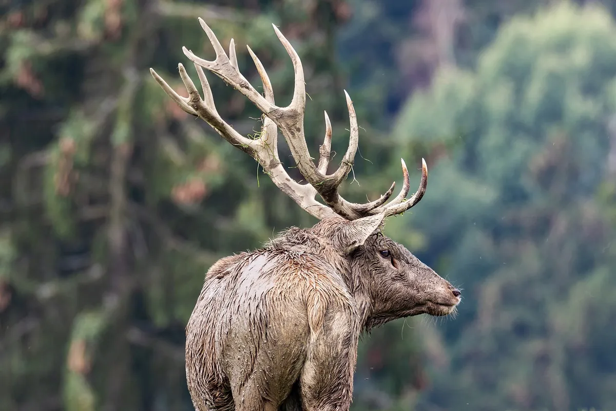 Tierpark Altenfelden