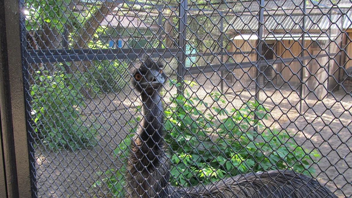 Perm Zoo