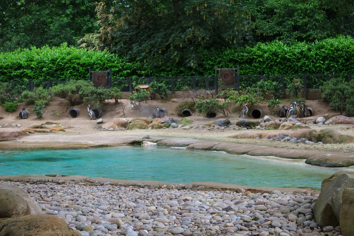 London Zoo