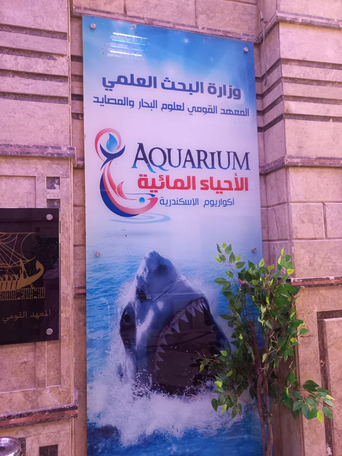 Alexandria Aquarium
