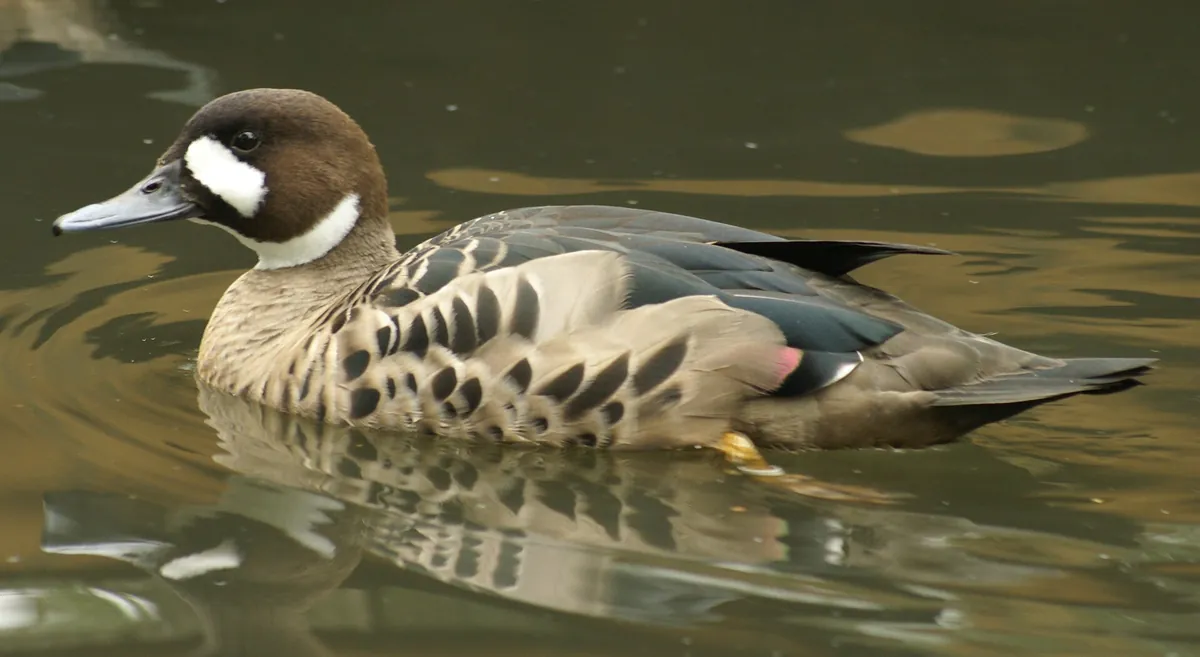 Tiergarten Bernburg