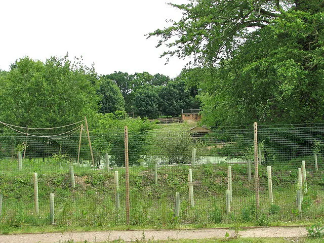 Amazona Zoo