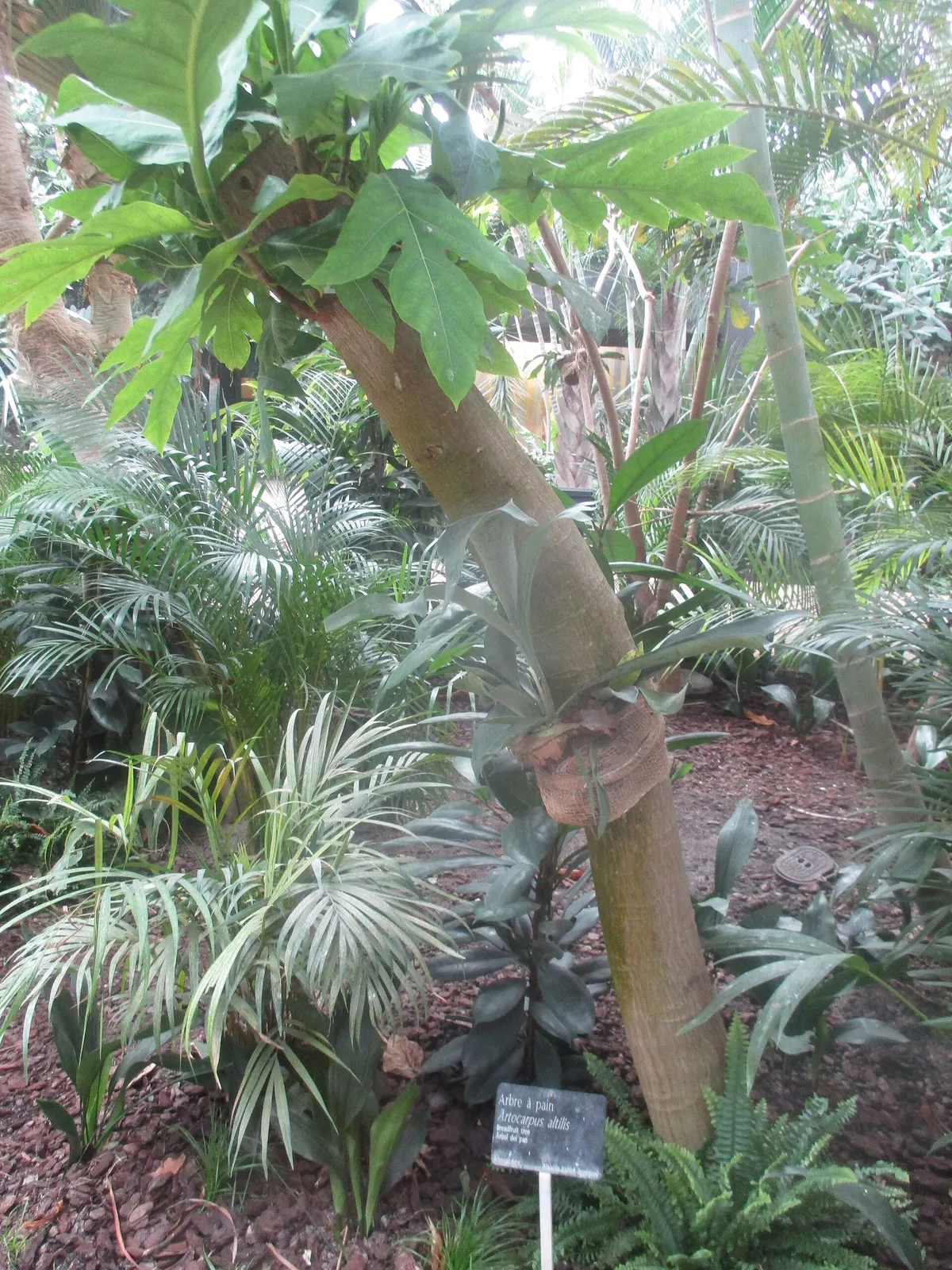 Paris Zoological Park