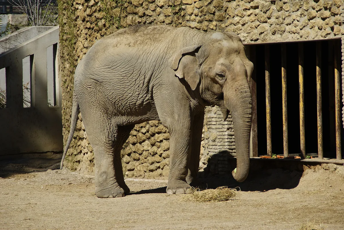CENTRO DE CONSERVACIÓN ZOO CÓRDOBA