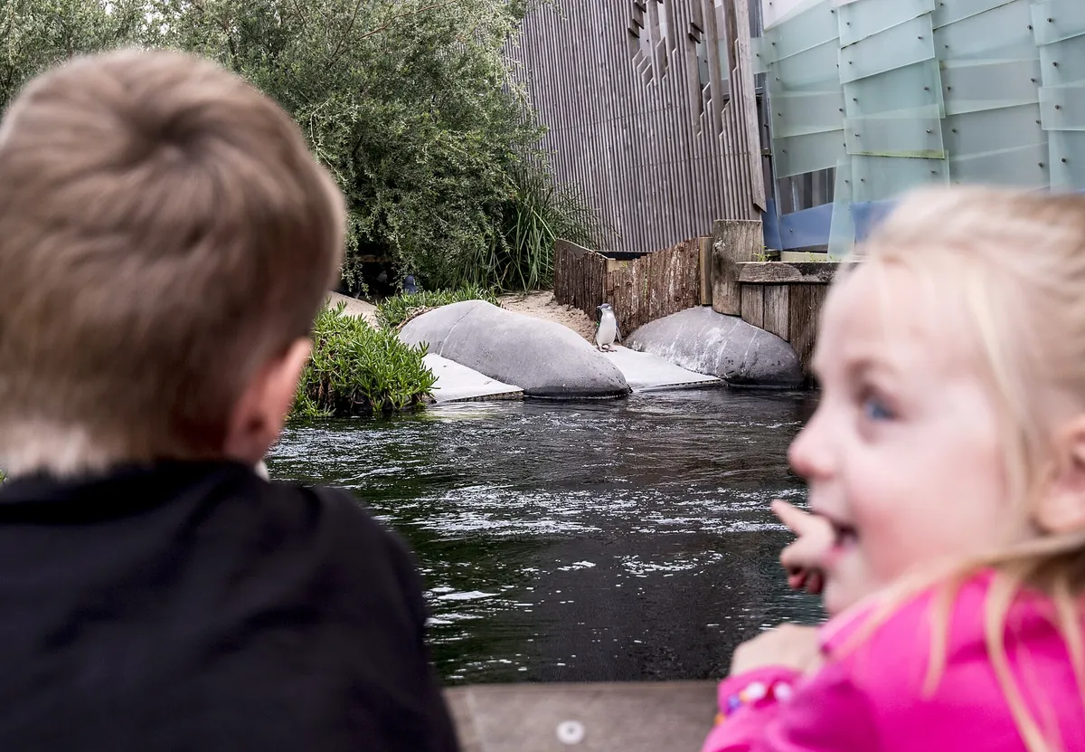 Melbourne Zoo