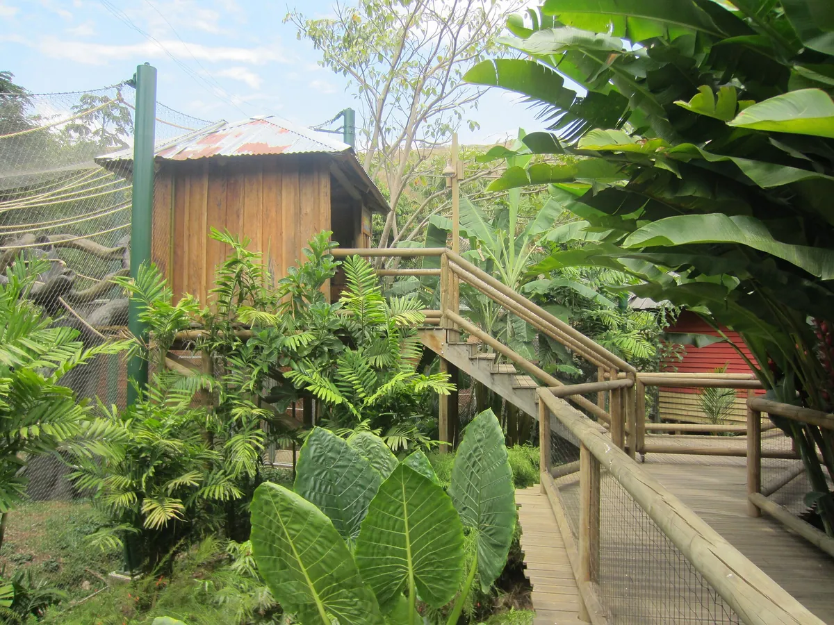 Zoológico de Cali