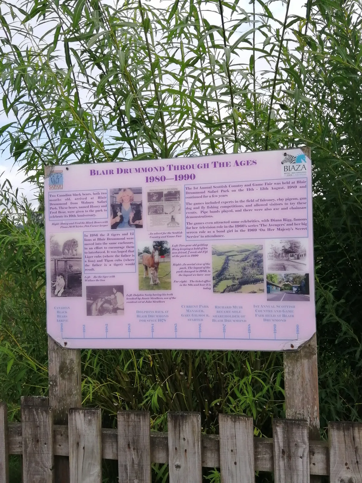 Blair Drummond Safari and Adventure Park