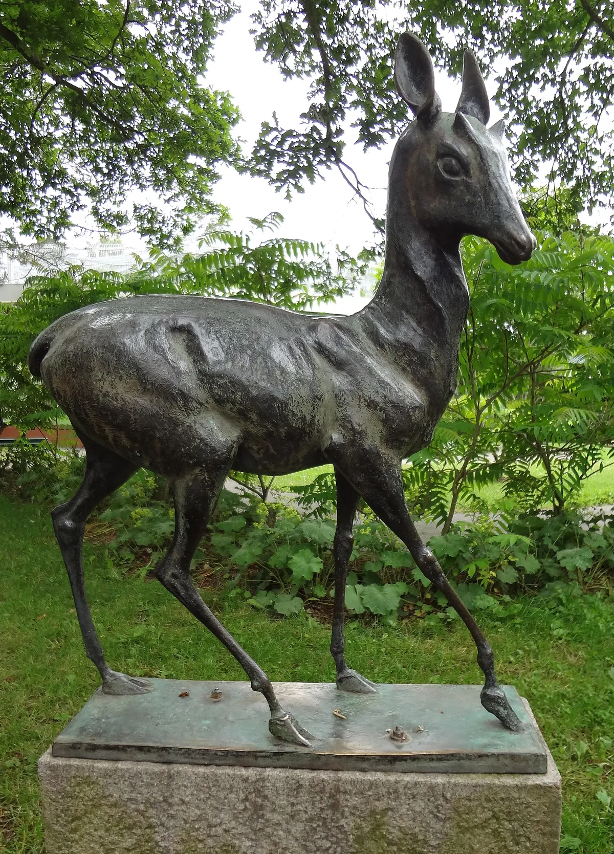 Parken Zoo