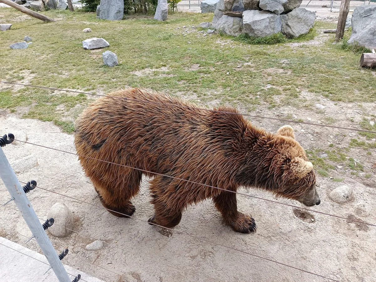 Zoo Kontakt