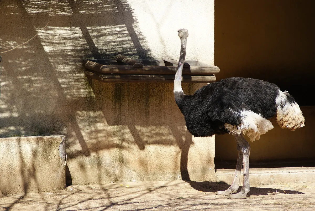 CENTRO DE CONSERVACIÓN ZOO CÓRDOBA