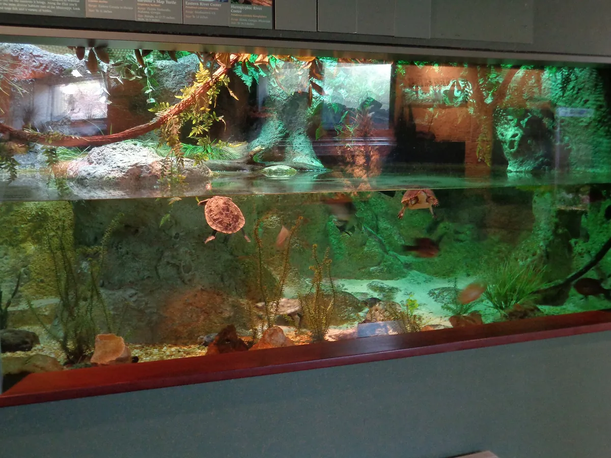 Flint RiverQuarium