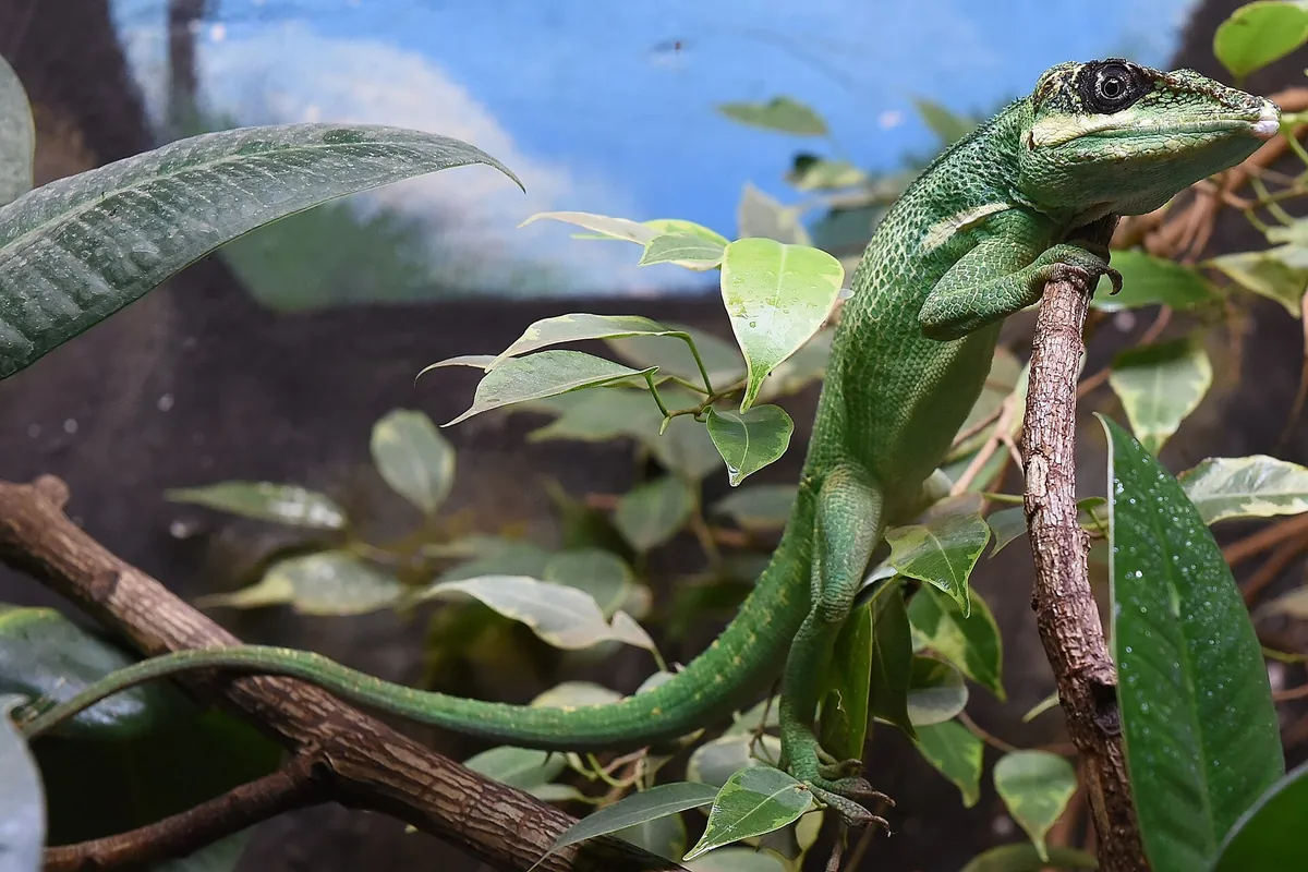 TerraZoo Rheinberg