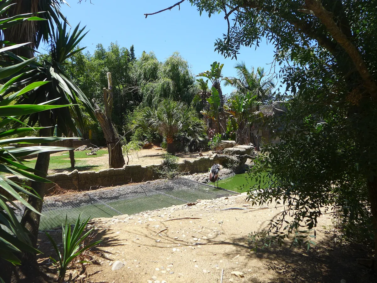 ZOO DE LAGOS