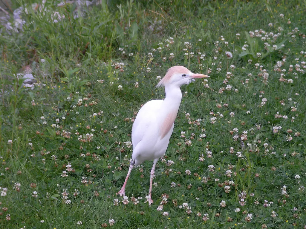 Racine Zoological Gardens