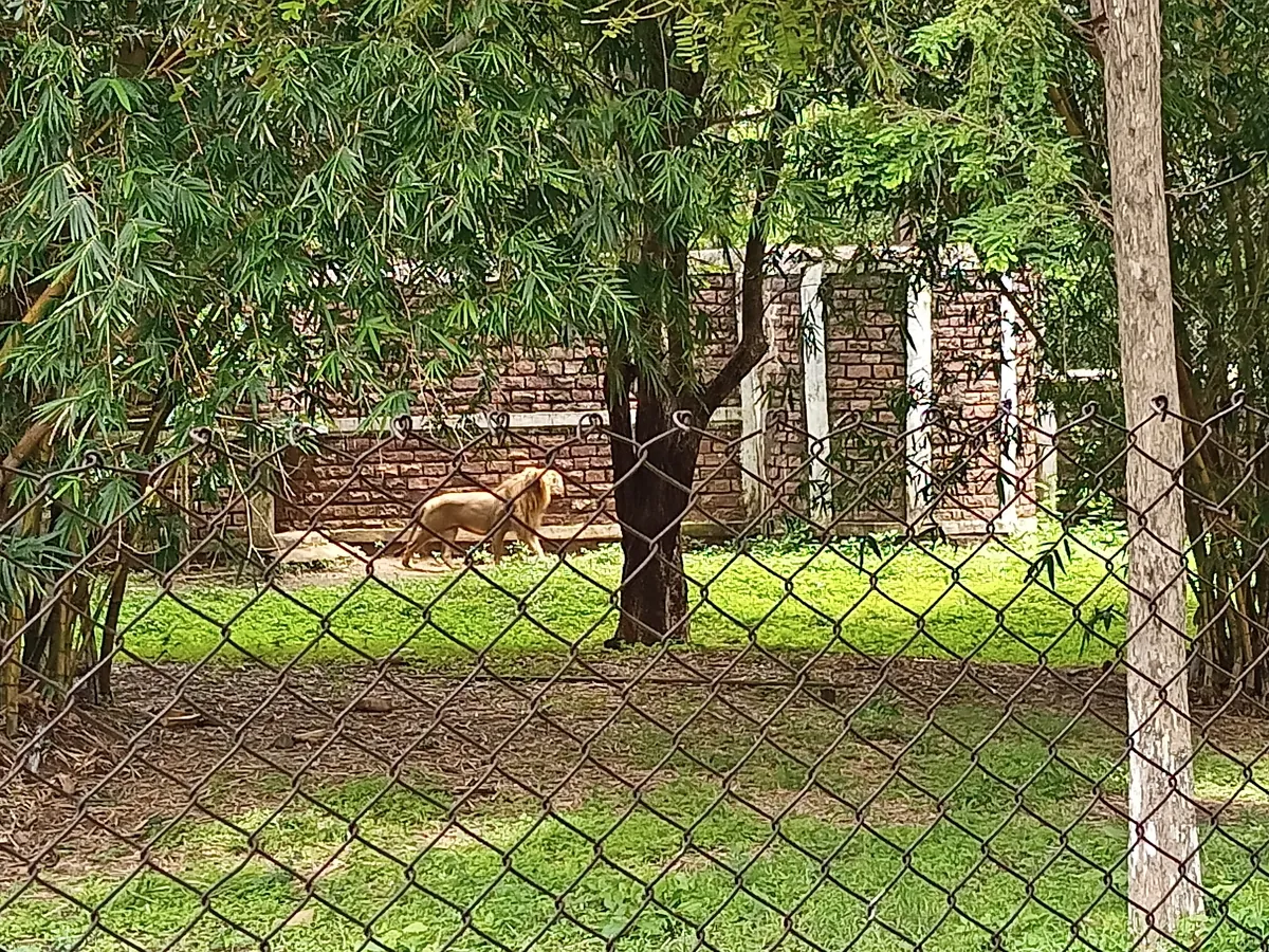 Kanan Pendari Zoo