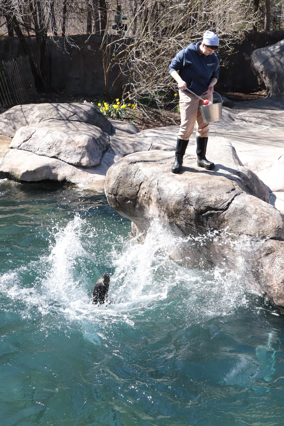 Seneca Park Zoo