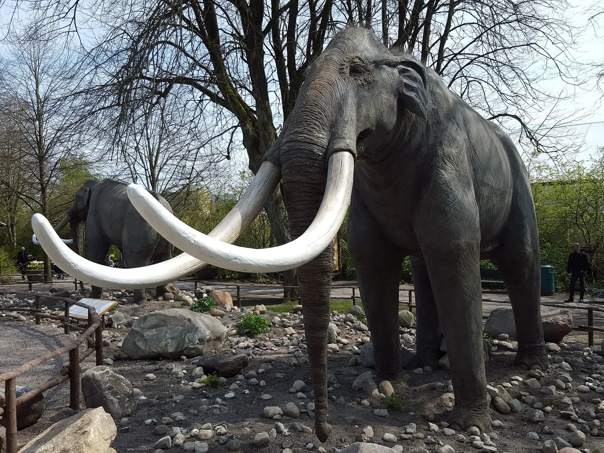 Aalborg Zoo