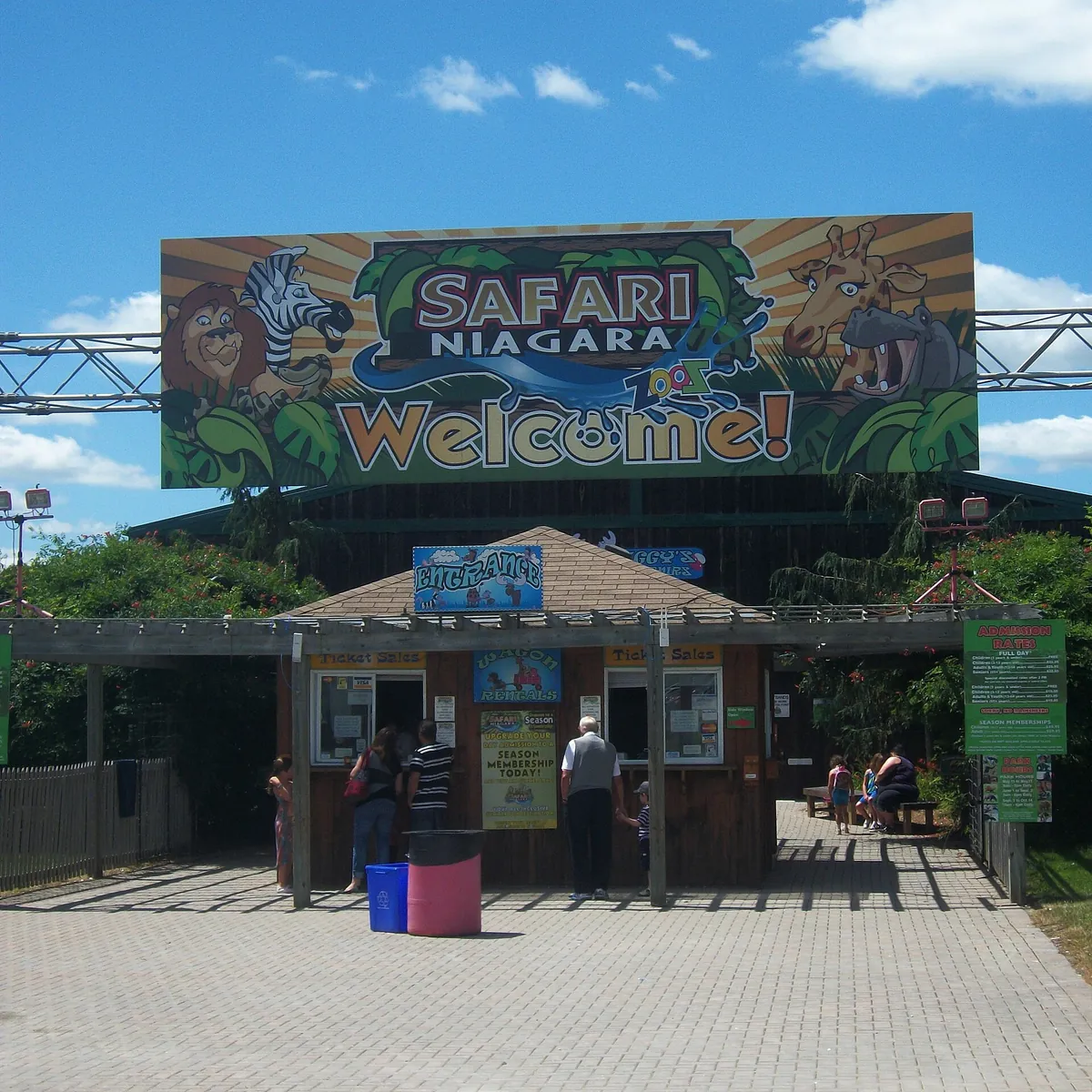 Safari Niagara