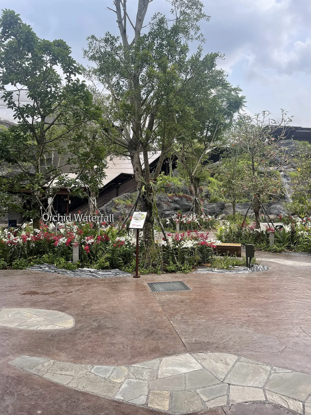 Bird Paradise