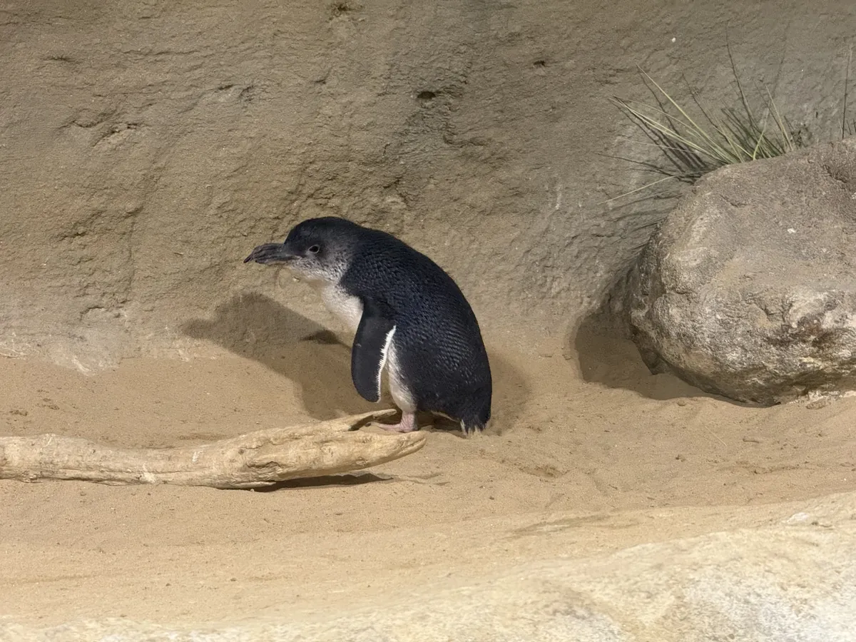 Adventure Aquarium