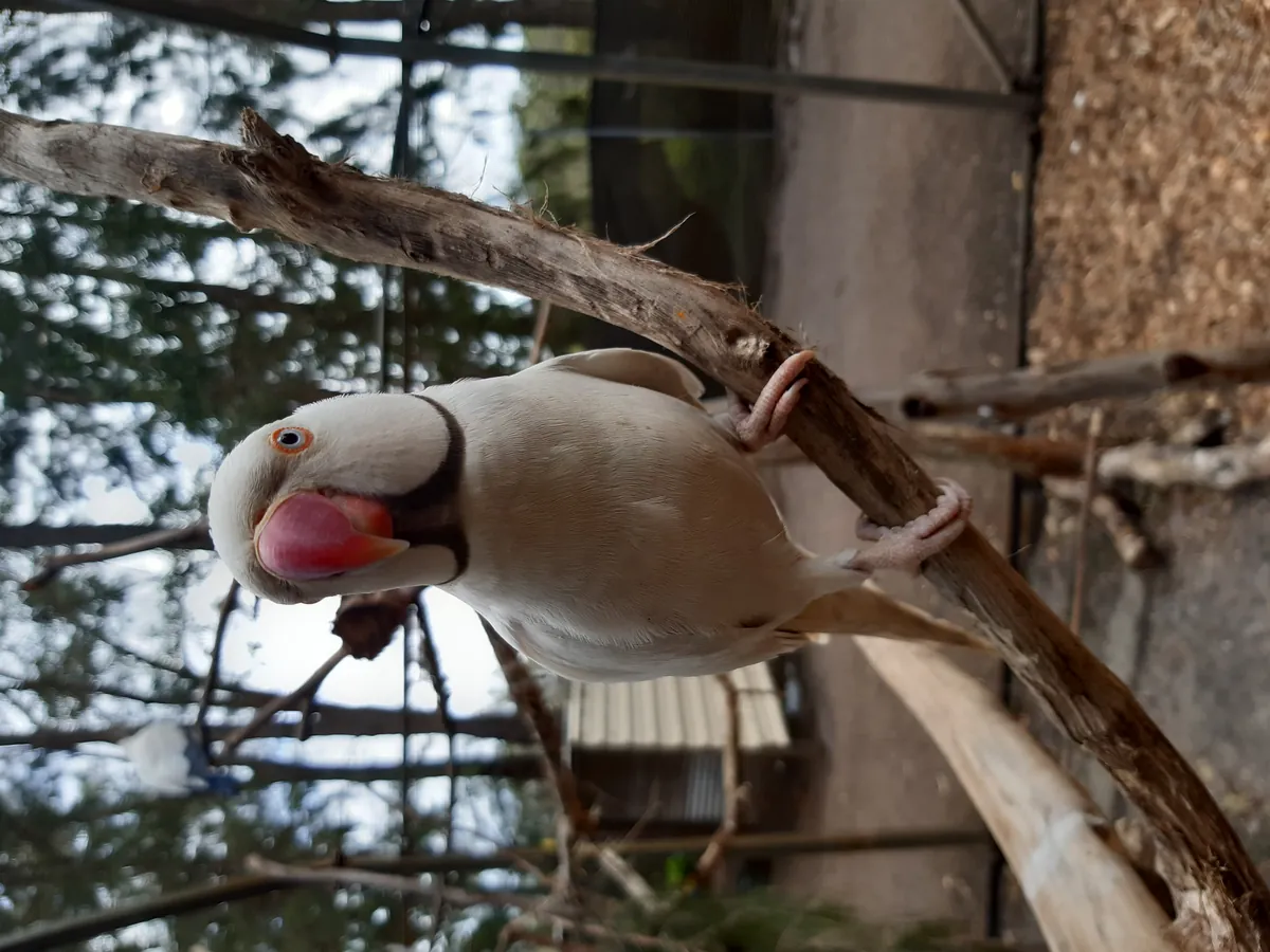 Ranger Red’s Zoo & Conservation Park