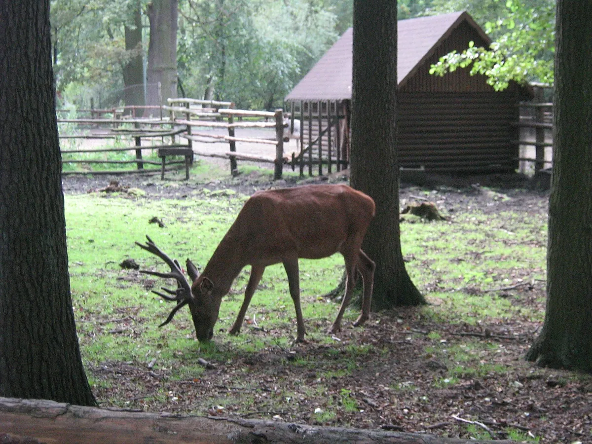 Zoo Nowy Tomyśl