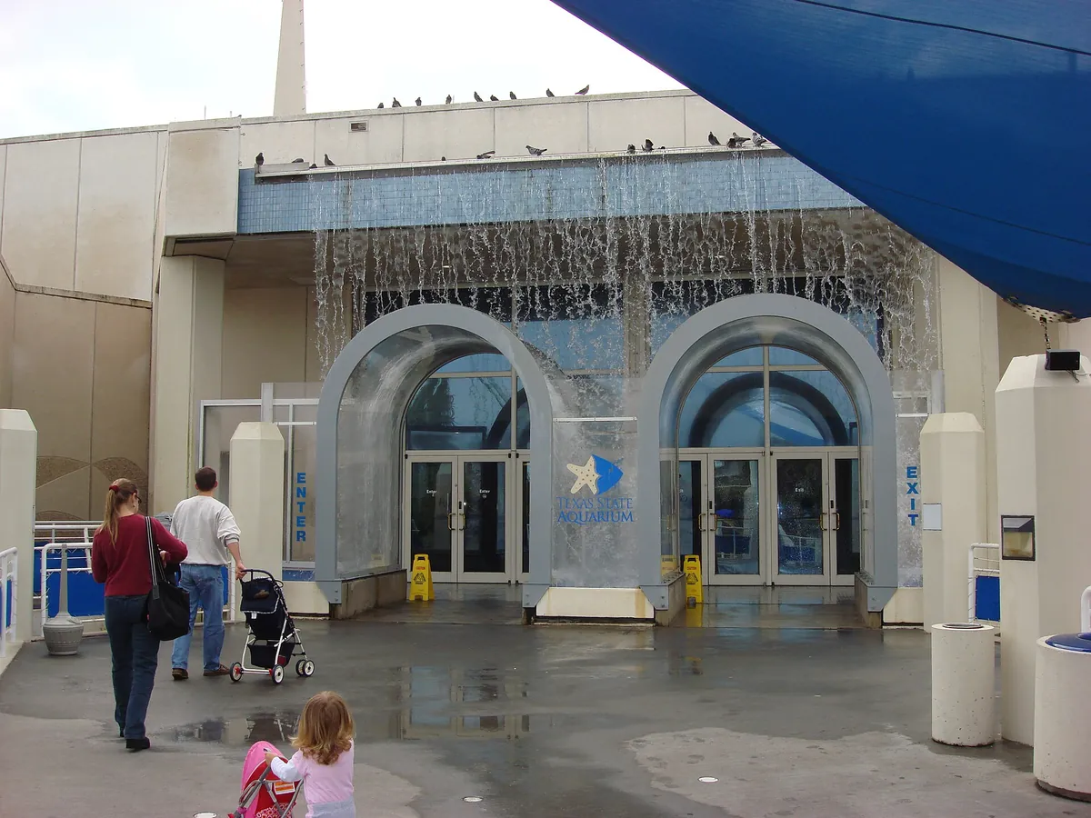 Texas State Aquarium