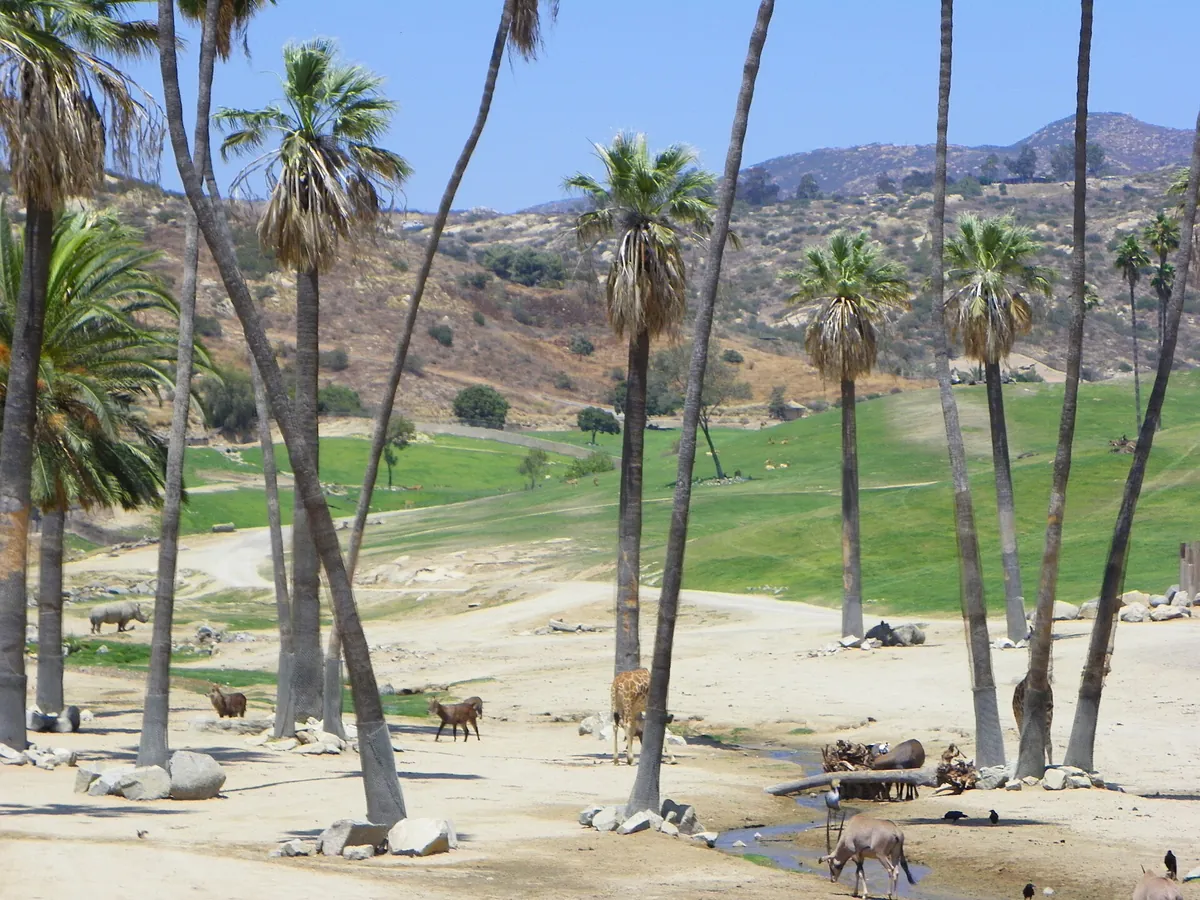 San Diego Zoo Safari Park