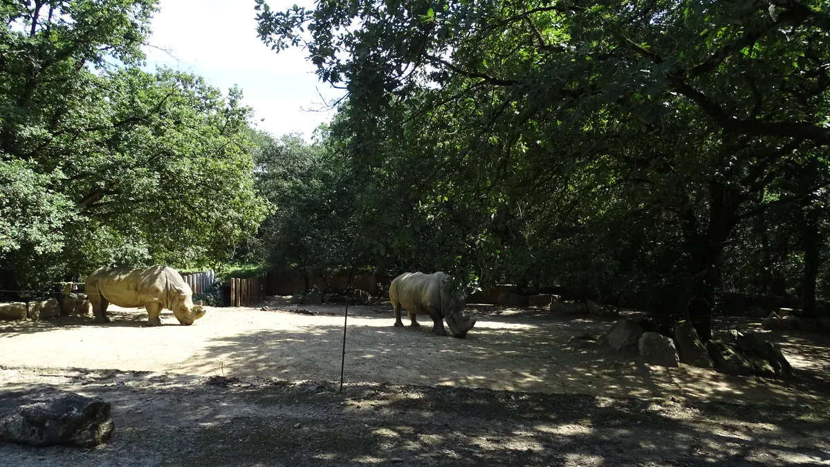 Parc zoologique de Plaisance du Touch