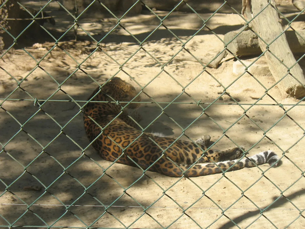 Parc zoologique de Plaisance du Touch