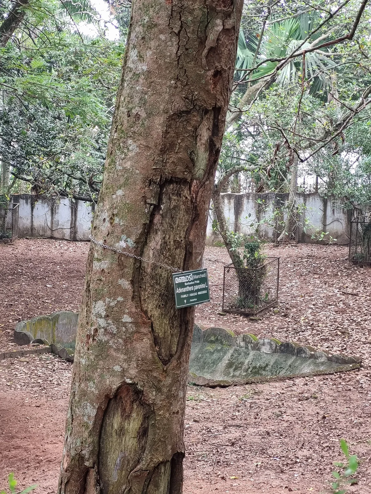 Thiruvananthapuram Zoo