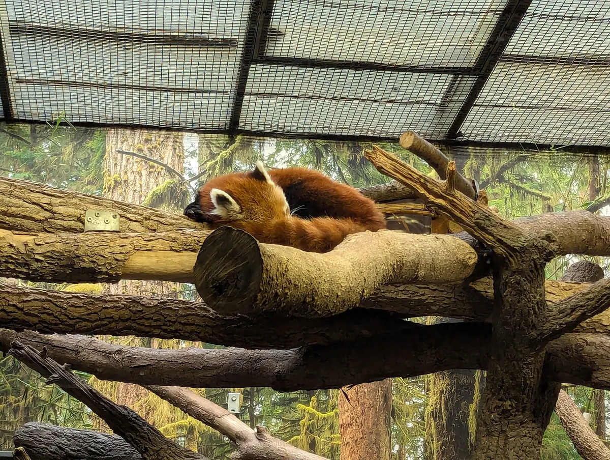 Kansas City Zoo