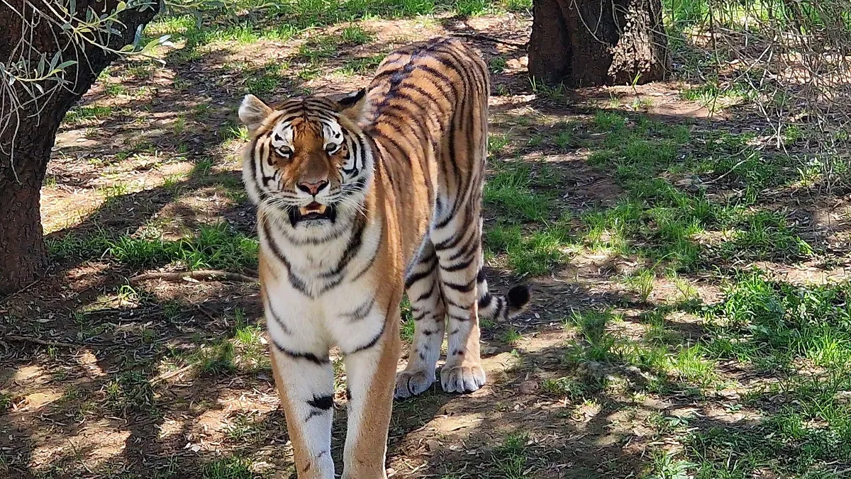 Johannesburg City Parks and Zoo