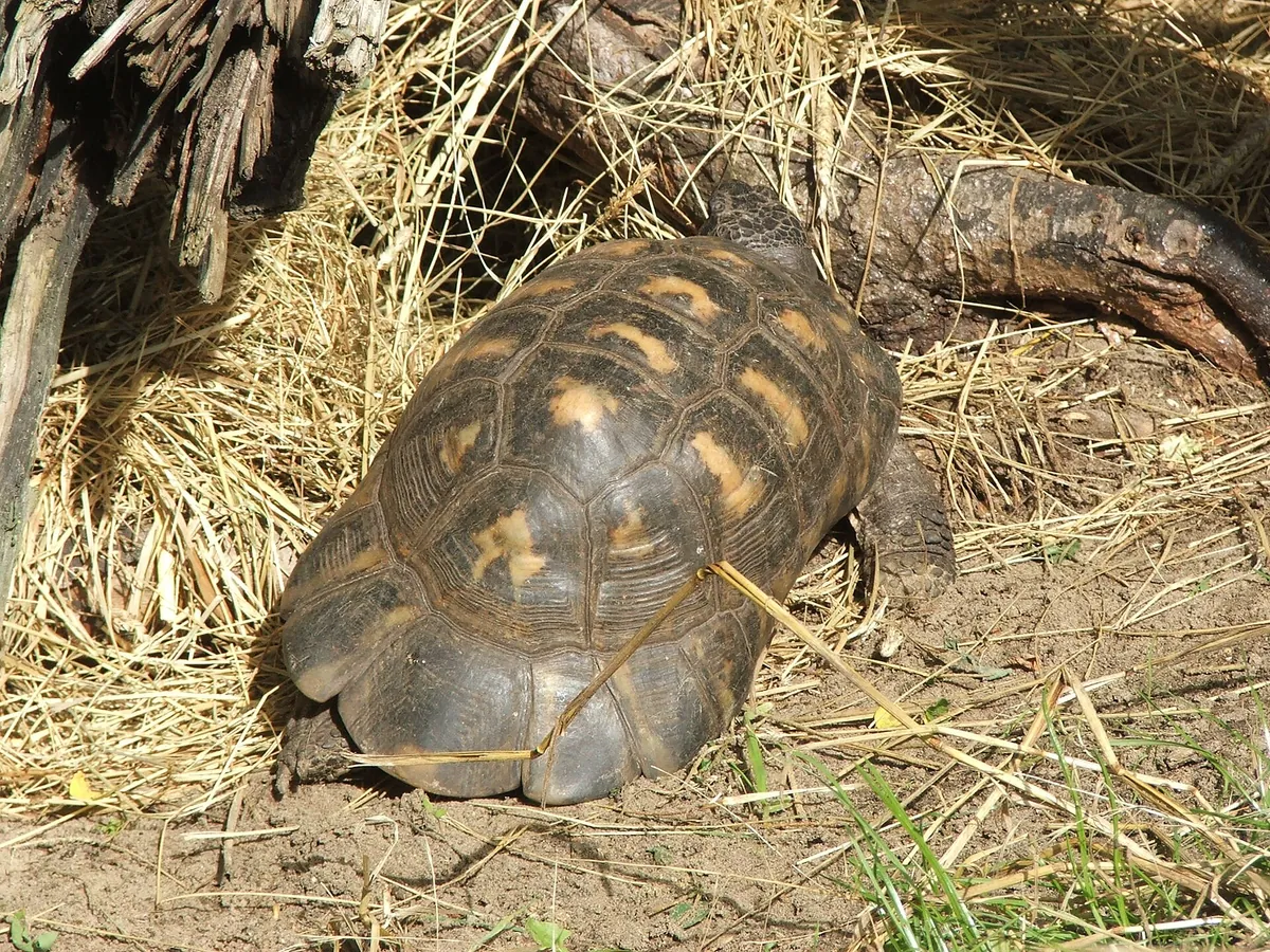 Tierpark Ueckermünde