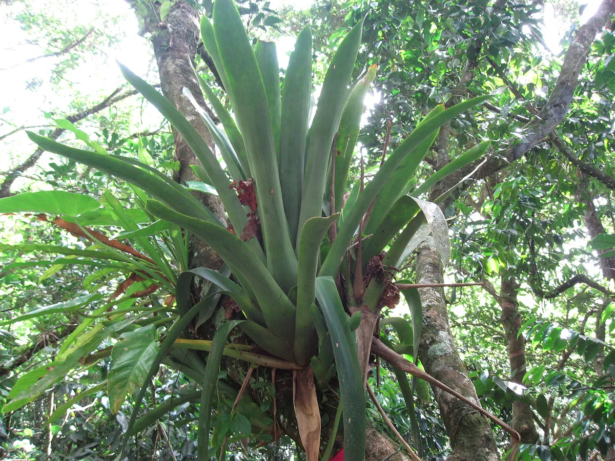 Guadeloupe zoo
