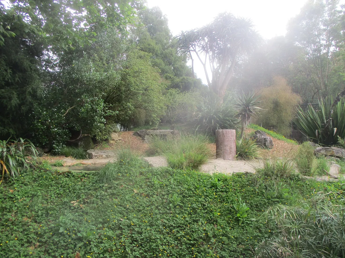 Auckland Zoo
