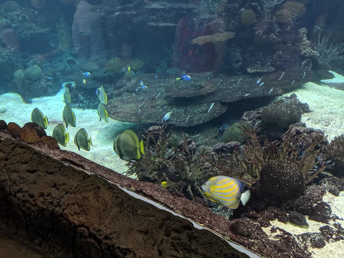 Royal Burgers' Zoo