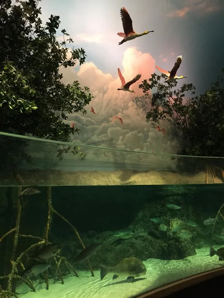 Johnny Morris' Wonders of Wildlife National Museum & Aquarium