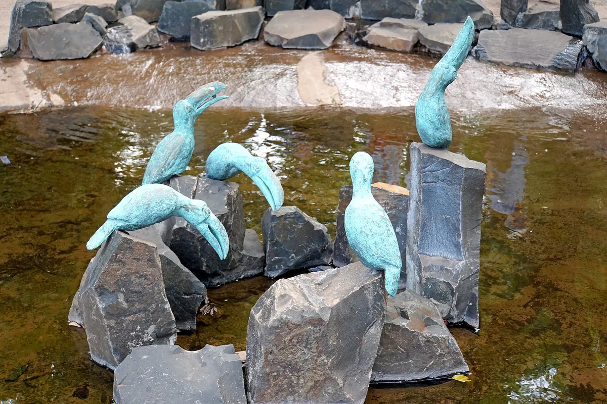 Parque das Aves