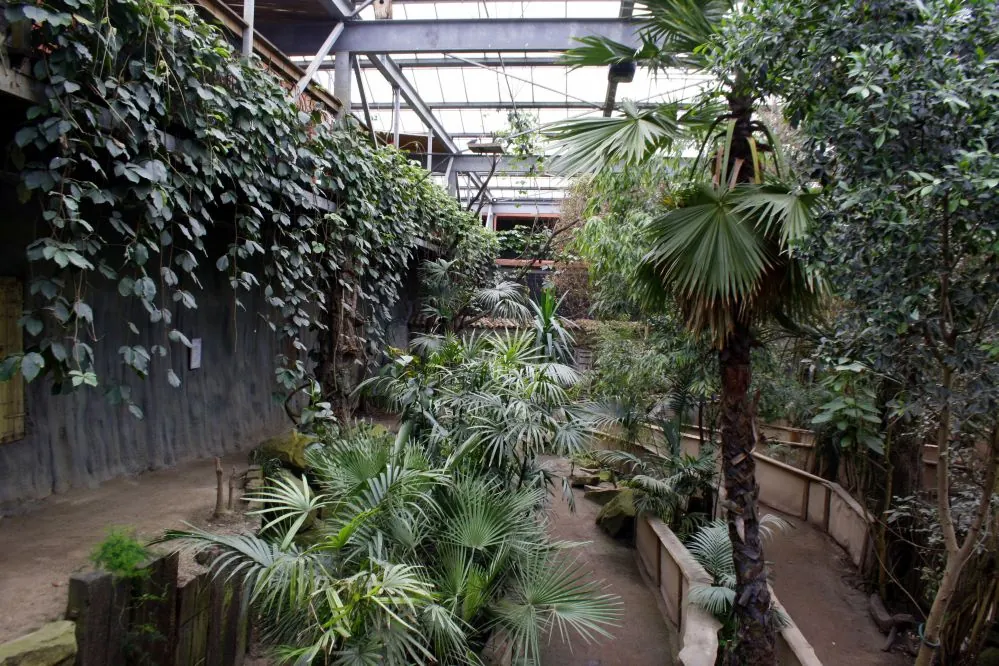 Zoo Veldhoven