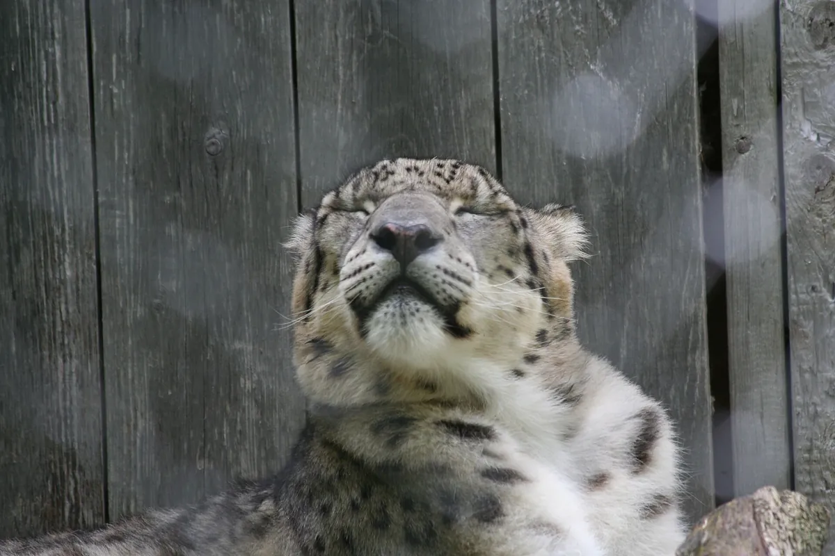 Papanack Park Zoo
