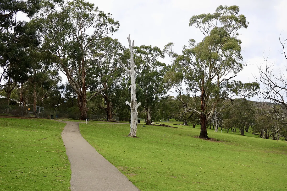 Cleland Wildlife Park